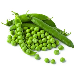 Wheat grass